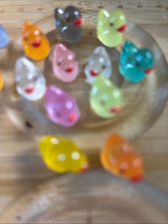 Accessories - $10/11 pcs - Assorted Translucent  Duck Carvings - Multi Color Mix